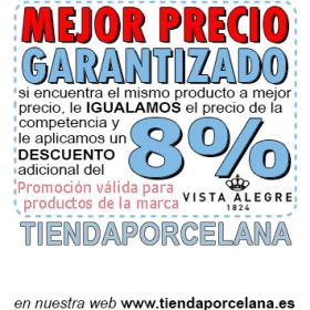 Mejor precio garantizado Vajilla Cesta Vista Alegre 46 piezas