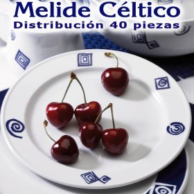 Vajilla uso diario Santa Clara Pontesa Melide Céltico 40 piezas 12 servicios básicos.