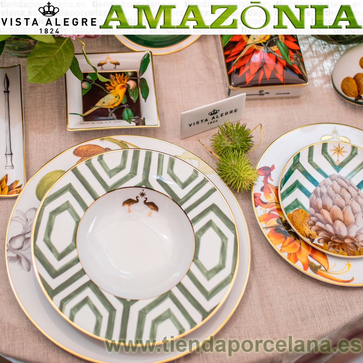 Vajilla amazonia vista alegre best sale