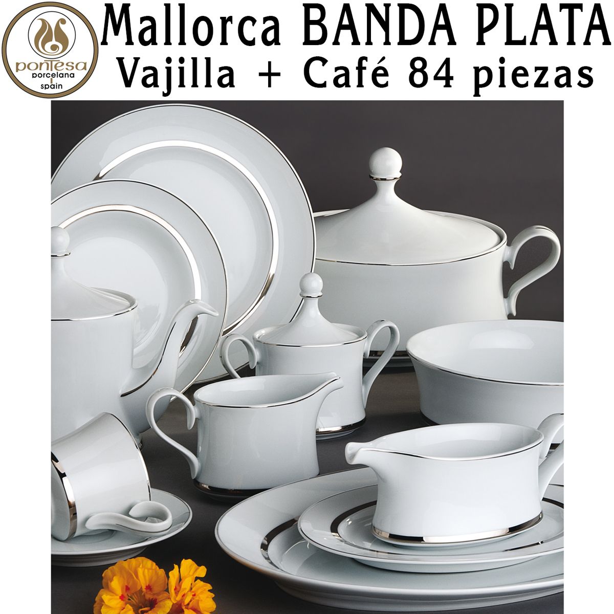 Vajilla con juego de Café 84 piezas 12 servicios completos Santa Clara  Mallorca Banda Plata